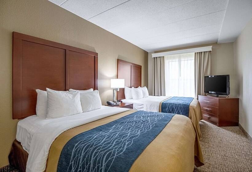 فندق Comfort Inn Indianapolis North  Carmel