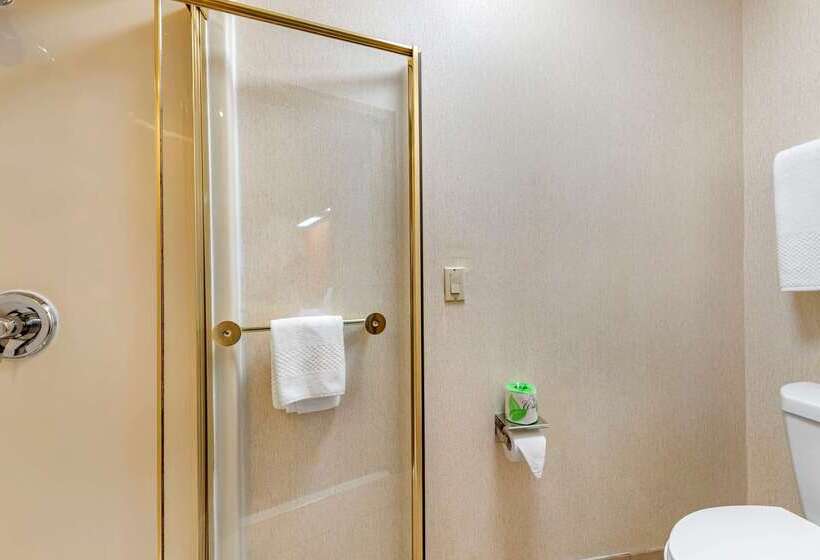 ホテル Econo Lodge North Academy