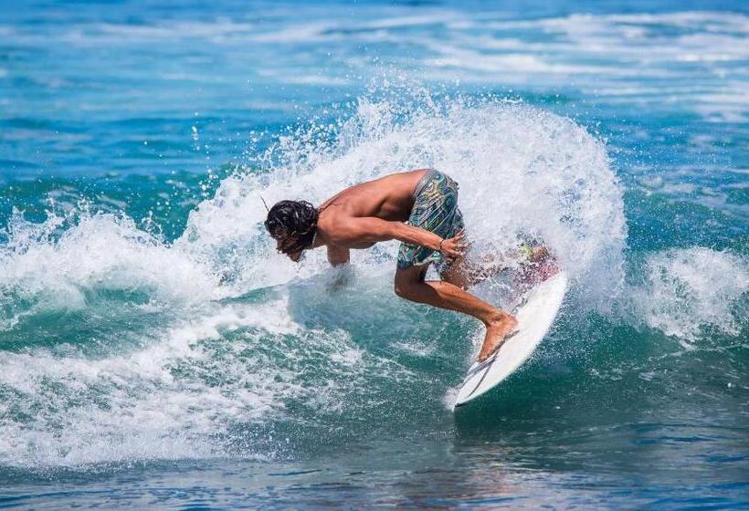 호텔 Hampton Motor Inn