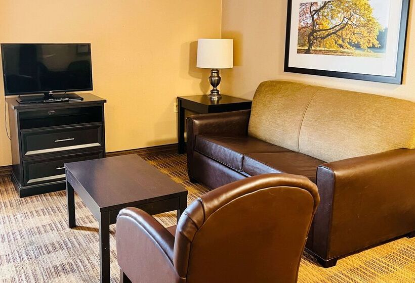 فندق Mainstay Suites Little Rock West Near Medical Centers