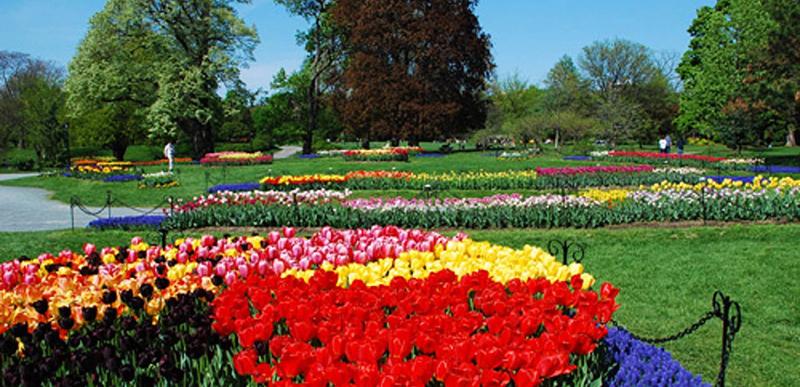 酒店 Morgan State House Inn