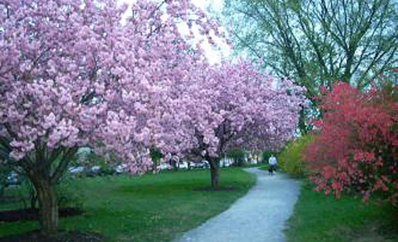 酒店 Morgan State House Inn