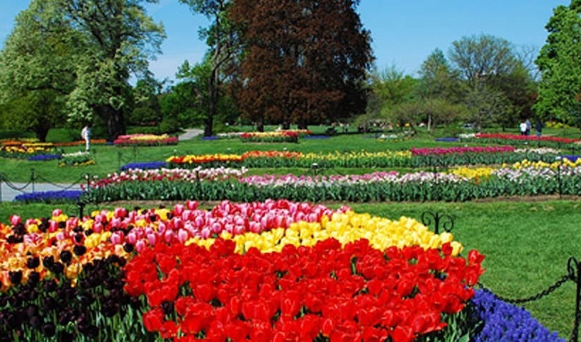 酒店 Morgan State House Inn