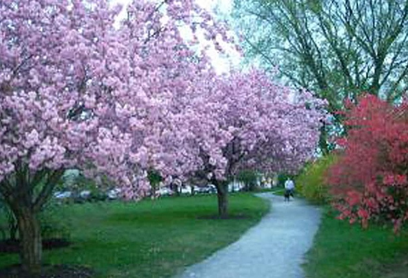 酒店 Morgan State House Inn