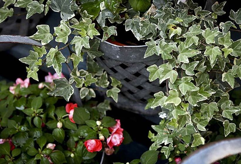 酒店 Morgan State House Inn