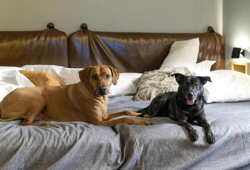 酒店 Moxy Memphis Downtown