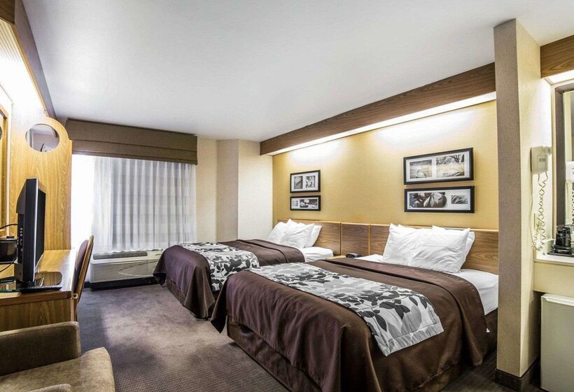 ホテル Quality Inn Moab Slickrock Area