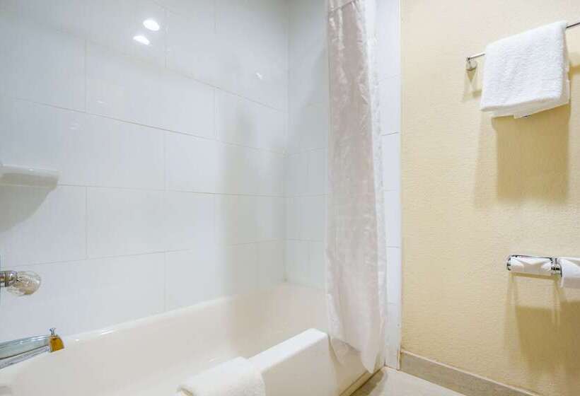 ホテル Quality Inn & Suites Florence  Cincinnati South