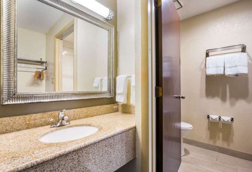 ホテル Quality Inn & Suites Florence  Cincinnati South