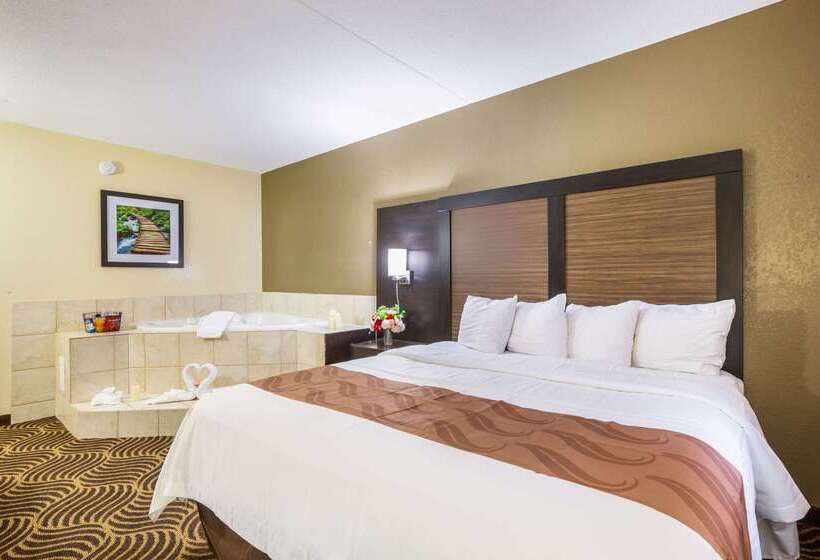 ホテル Quality Inn & Suites Florence  Cincinnati South