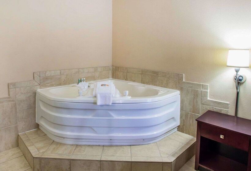 فندق Quality Inn & Suites