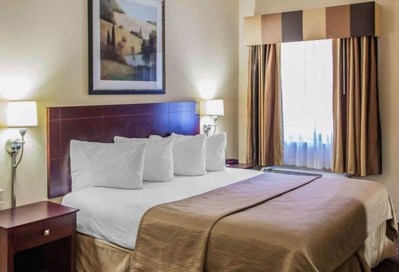 فندق Quality Inn & Suites