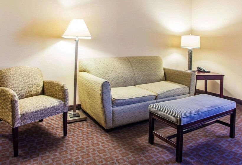 فندق Quality Inn & Suites