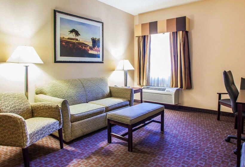 فندق Quality Inn & Suites