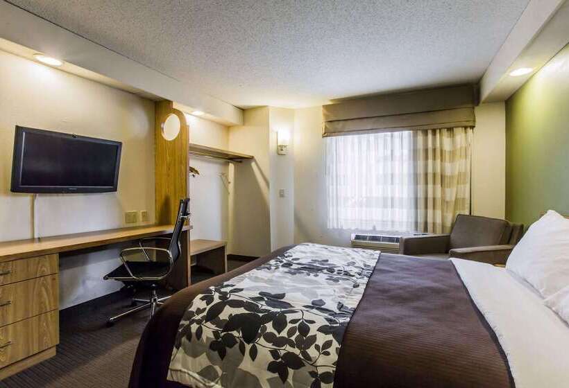 호텔 Rodeway Inn At Six Flags