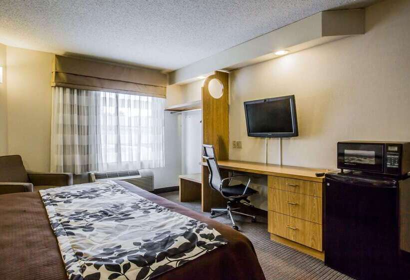 호텔 Rodeway Inn At Six Flags