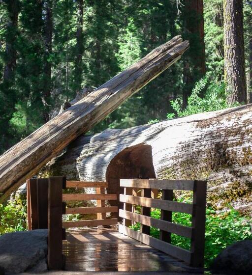 فندق Sierra Lodge Three Rivers