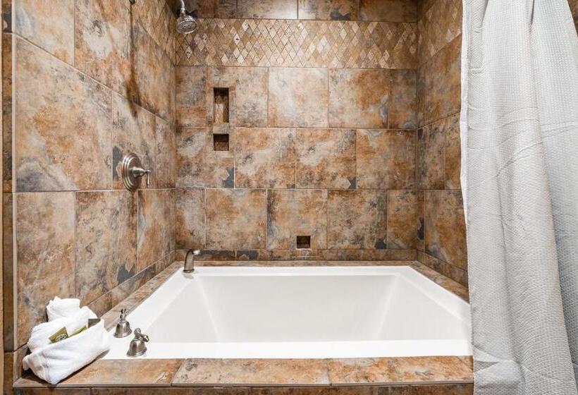 ホテル Silver King By All Seasons Resort Lodging