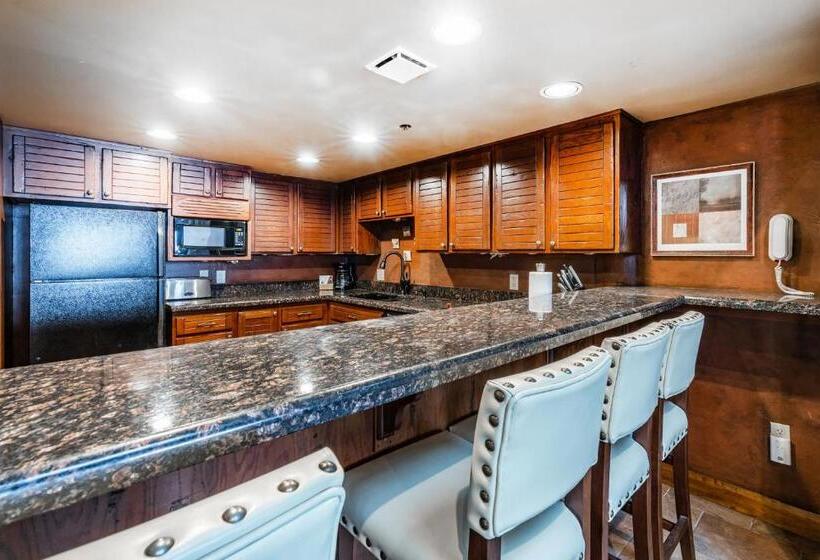 ホテル Silver King By All Seasons Resort Lodging