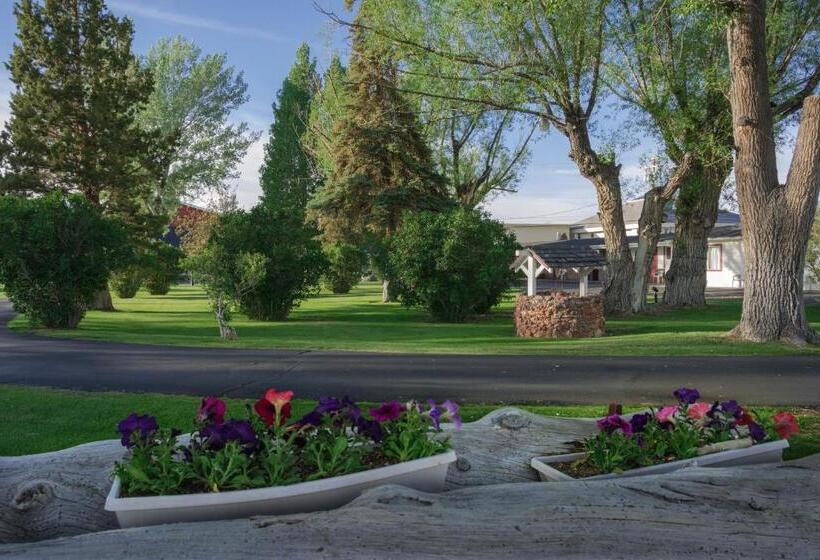 호텔 Silver Maple Inn And The Cain House Country Suites