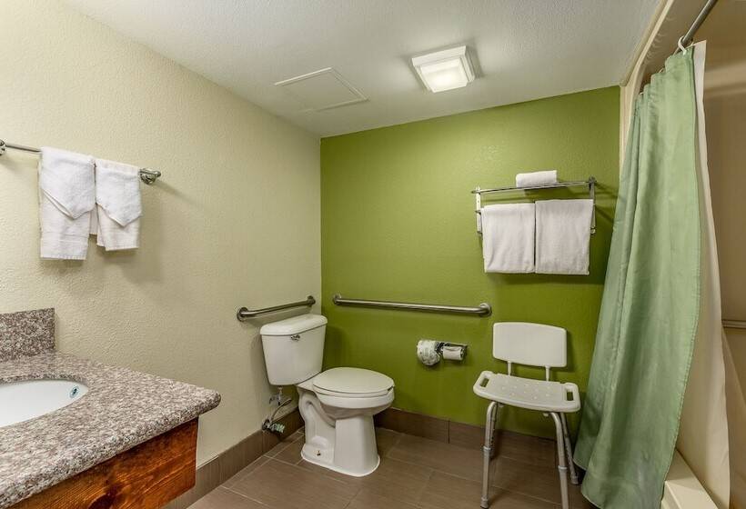 בית מלון כפרי Sleep Inn Airport