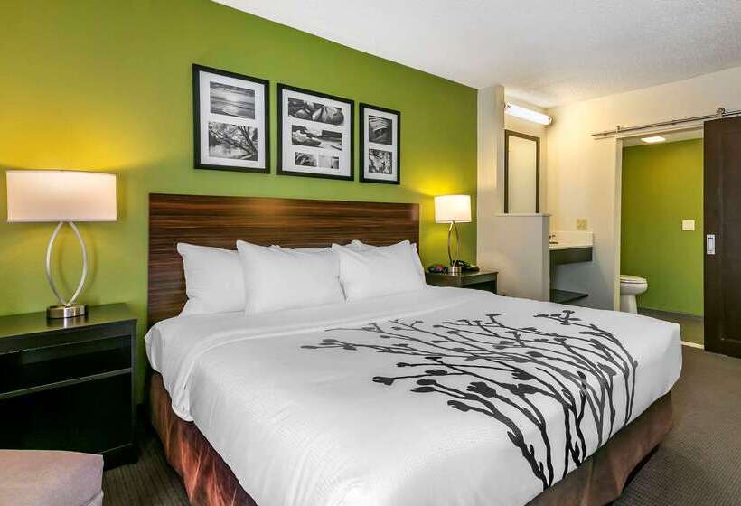 ホテル Sleep Inn Allentown Fogelsville