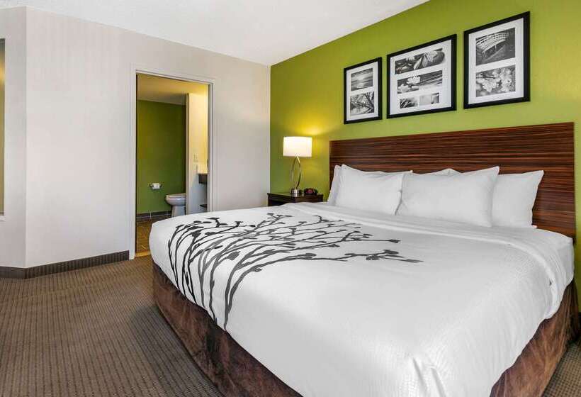 ホテル Sleep Inn Allentown Fogelsville