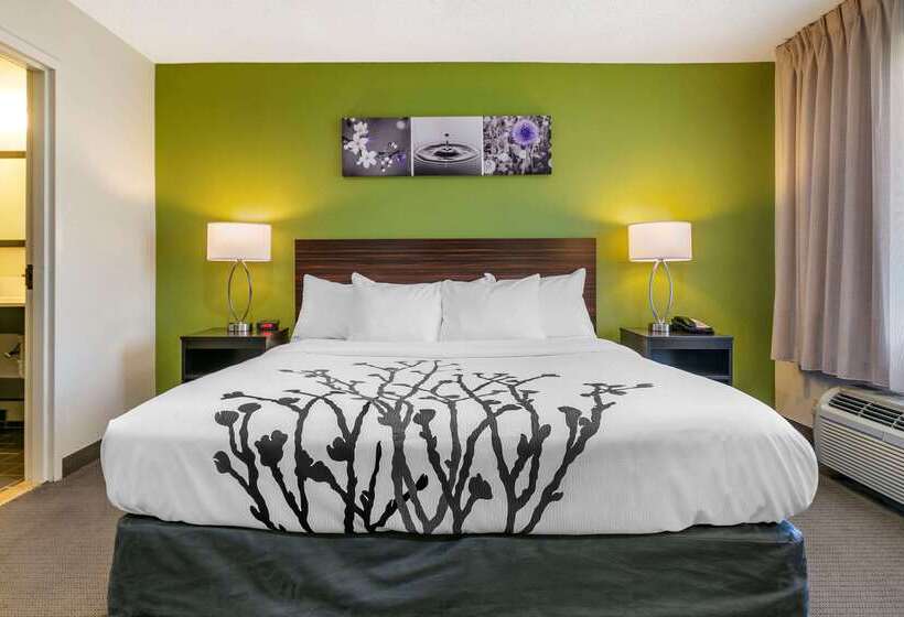 ホテル Sleep Inn Allentown Fogelsville