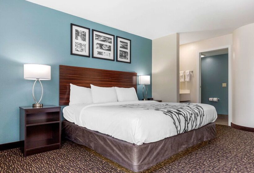 فندق Sleep Inn & Suites