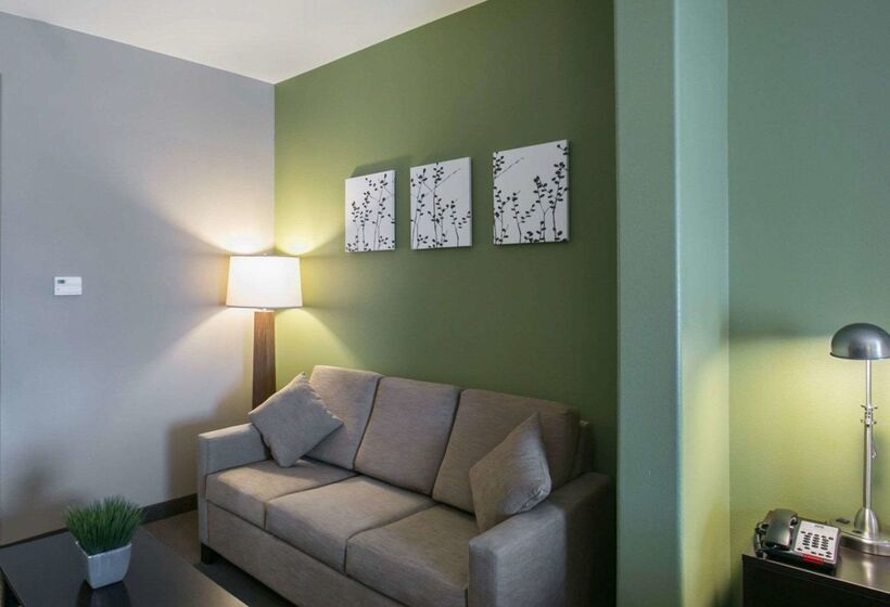 ホテル Sleep Inn & Suites Round Rock   Austin North