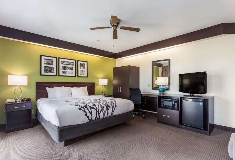 酒店 Sleep Inn Little River   North Myrtle Beach