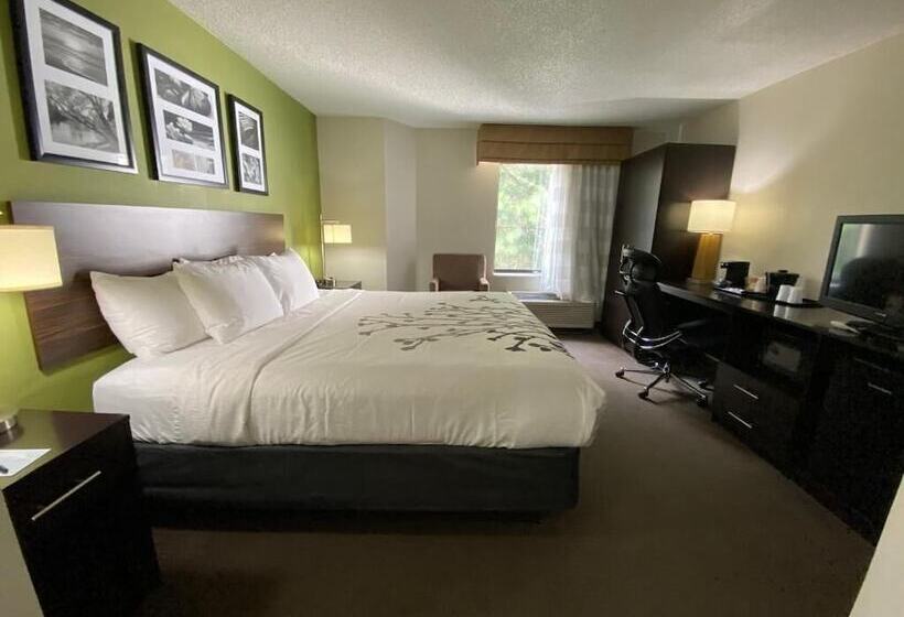 Отель Sleep Inn Atlanta Airport