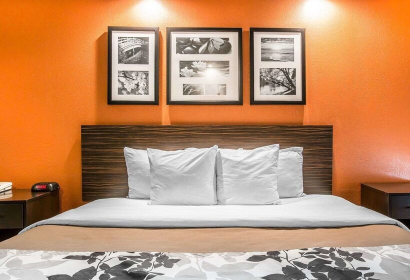 酒店 Sleep Inn Bessemer Helena