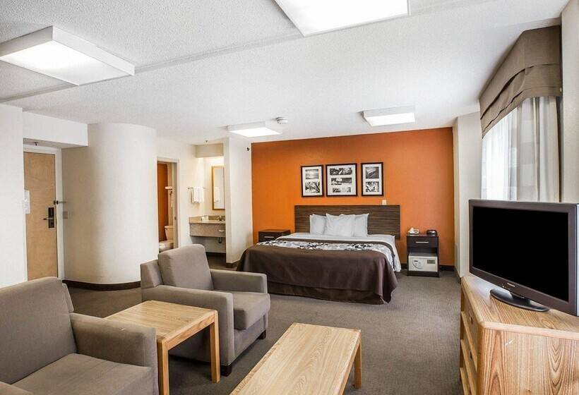 酒店 Sleep Inn Bessemer Helena