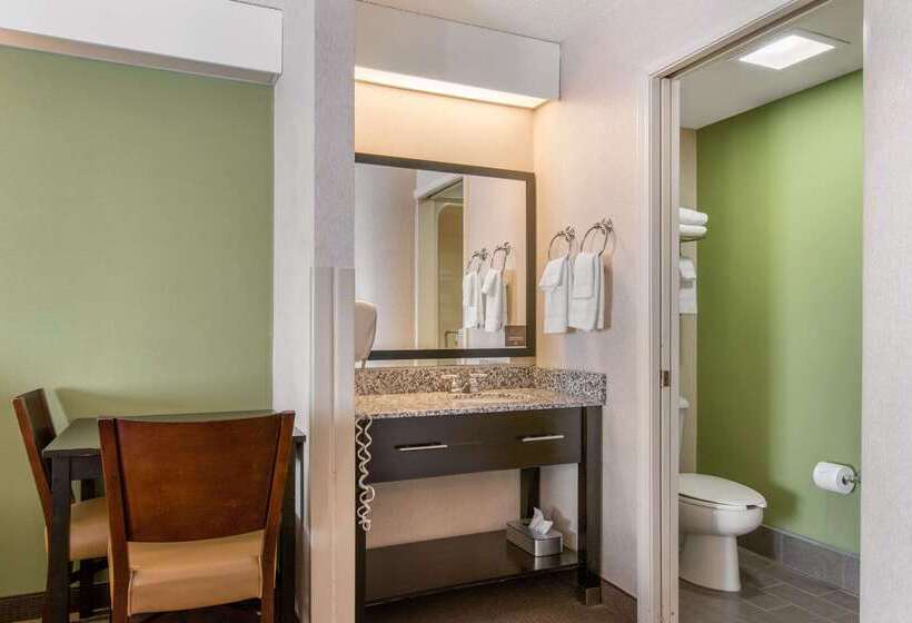 酒店 Sleep Inn Carlisle South