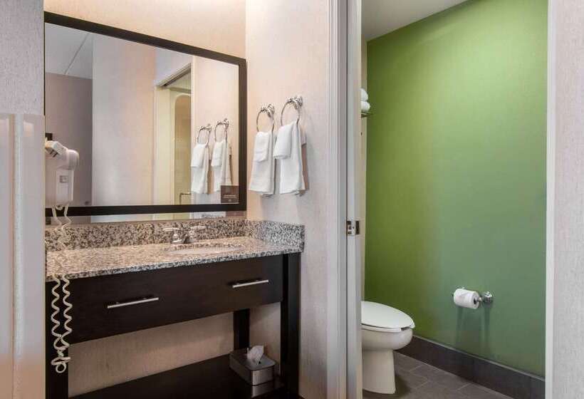 酒店 Sleep Inn Carlisle South