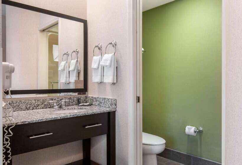 酒店 Sleep Inn Carlisle South