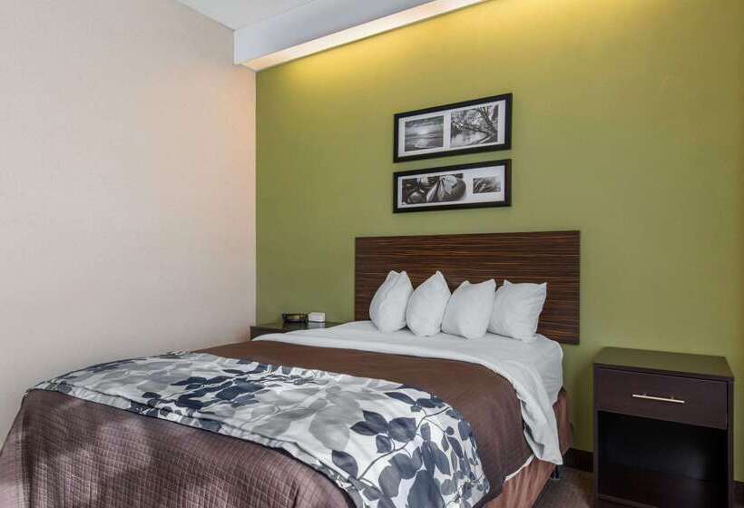 酒店 Sleep Inn Carlisle South