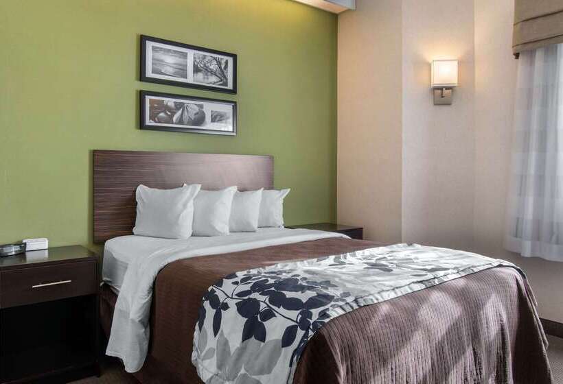 酒店 Sleep Inn Carlisle South