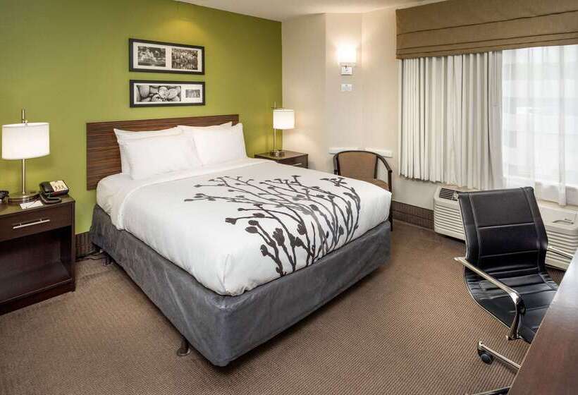 בית מלון כפרי Sleep Inn