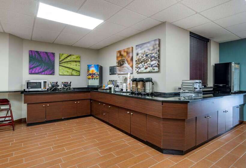 בית מלון כפרי Sleep Inn Clearwaterst Petersburg