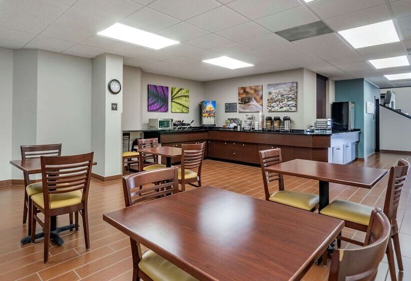 בית מלון כפרי Sleep Inn Clearwaterst Petersburg