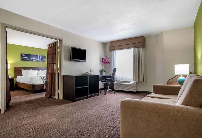 酒店 Sleep Inn Destin Near Miramar Beach