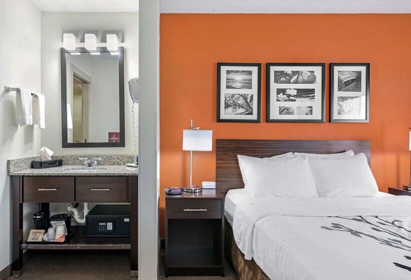 فندق Sleep Inn Dewitt   Lansing North