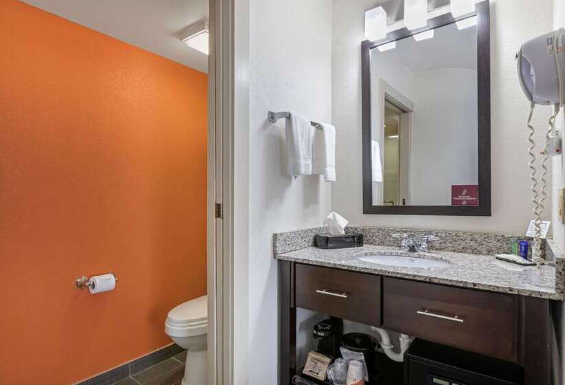 فندق Sleep Inn Dewitt   Lansing North