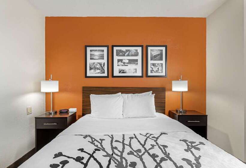 فندق Sleep Inn Dewitt   Lansing North