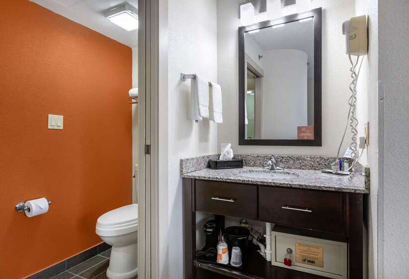 فندق Sleep Inn Dewitt   Lansing North