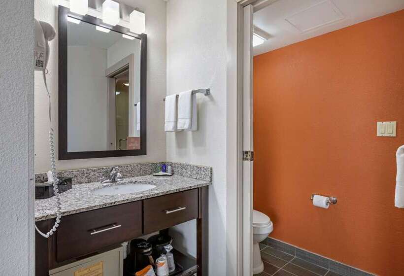 فندق Sleep Inn Dewitt   Lansing North