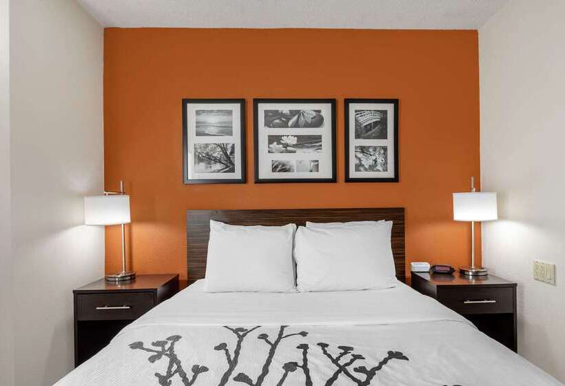 فندق Sleep Inn Dewitt   Lansing North