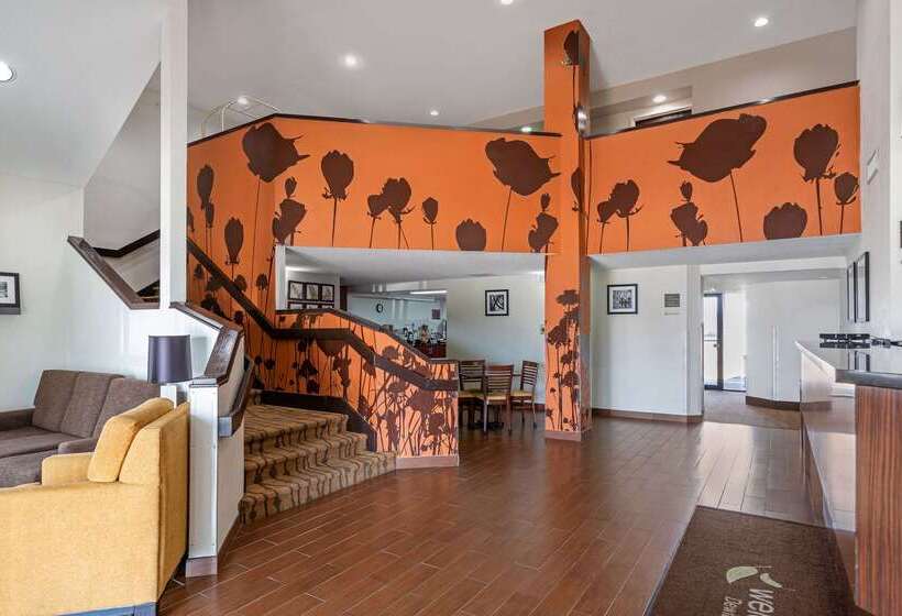 فندق Sleep Inn Dewitt   Lansing North